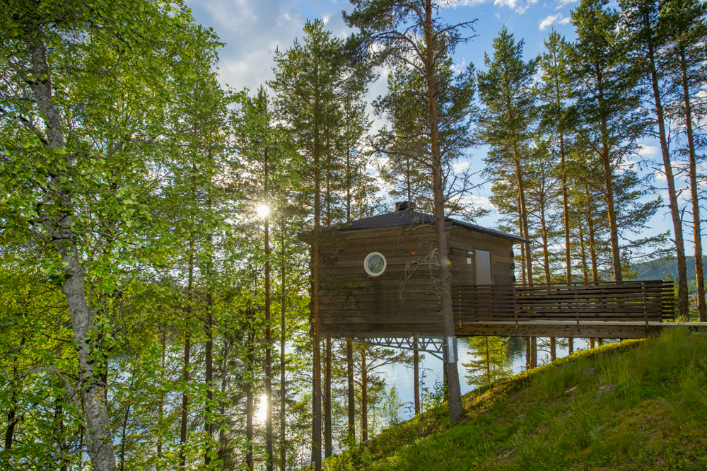 boomhut in Zweden