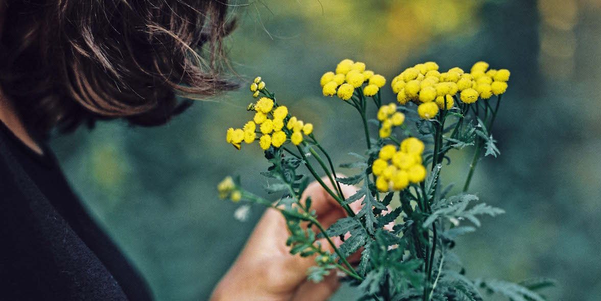 hanke nieuwsbrief bloemen