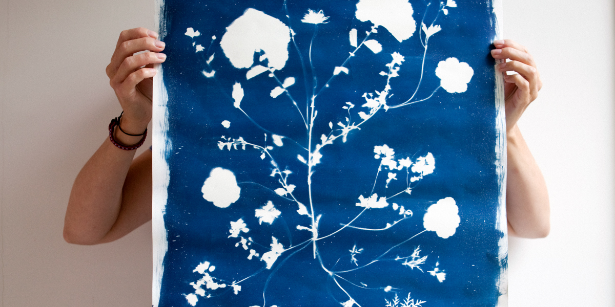 cyanotype