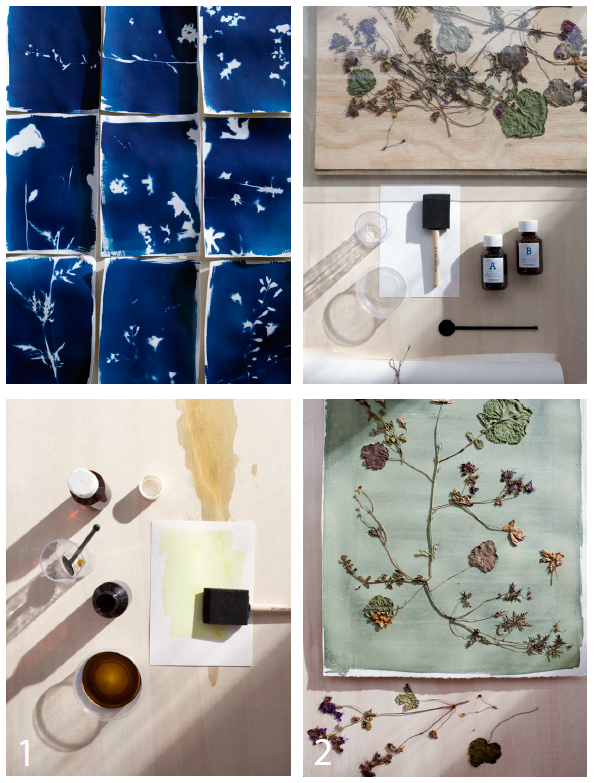 Cyanotype maken