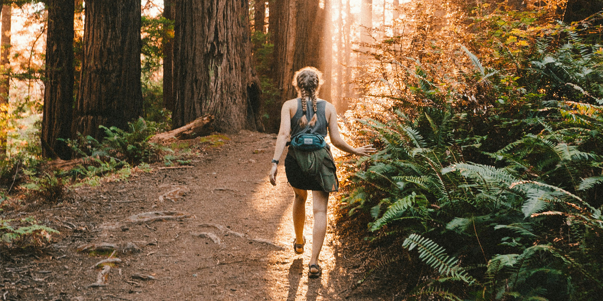 wandelingen in Nederland