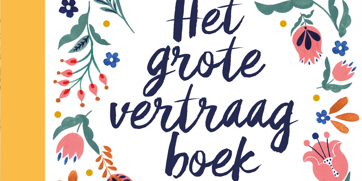 Het grote vertraagboek