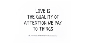 quote love is attention