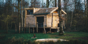 The Forest - tiny house