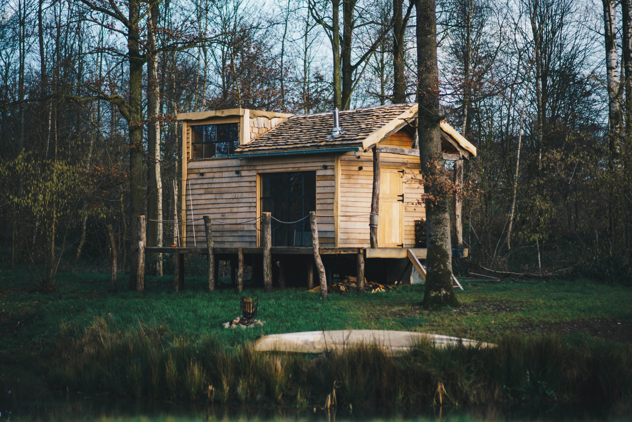 The Forest - tiny house