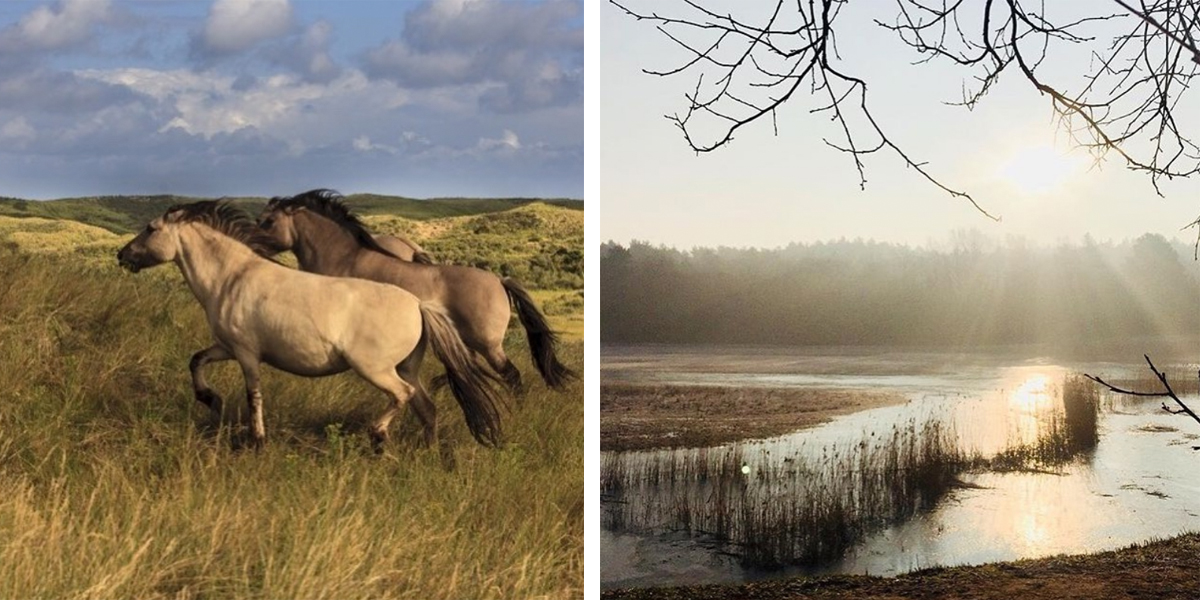 Wandelingen in Noord-Holland