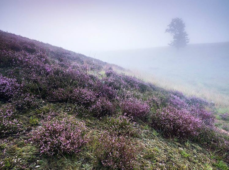 Wandelingen in Limburg