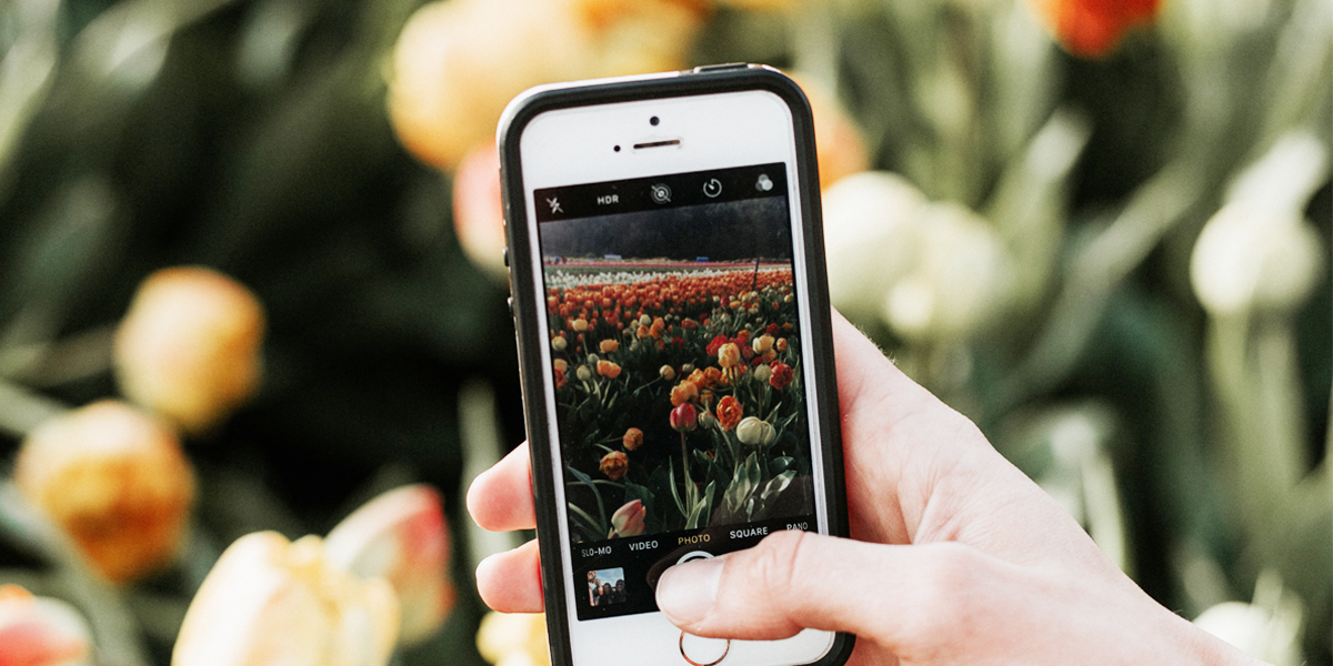 apps voor in de natuur