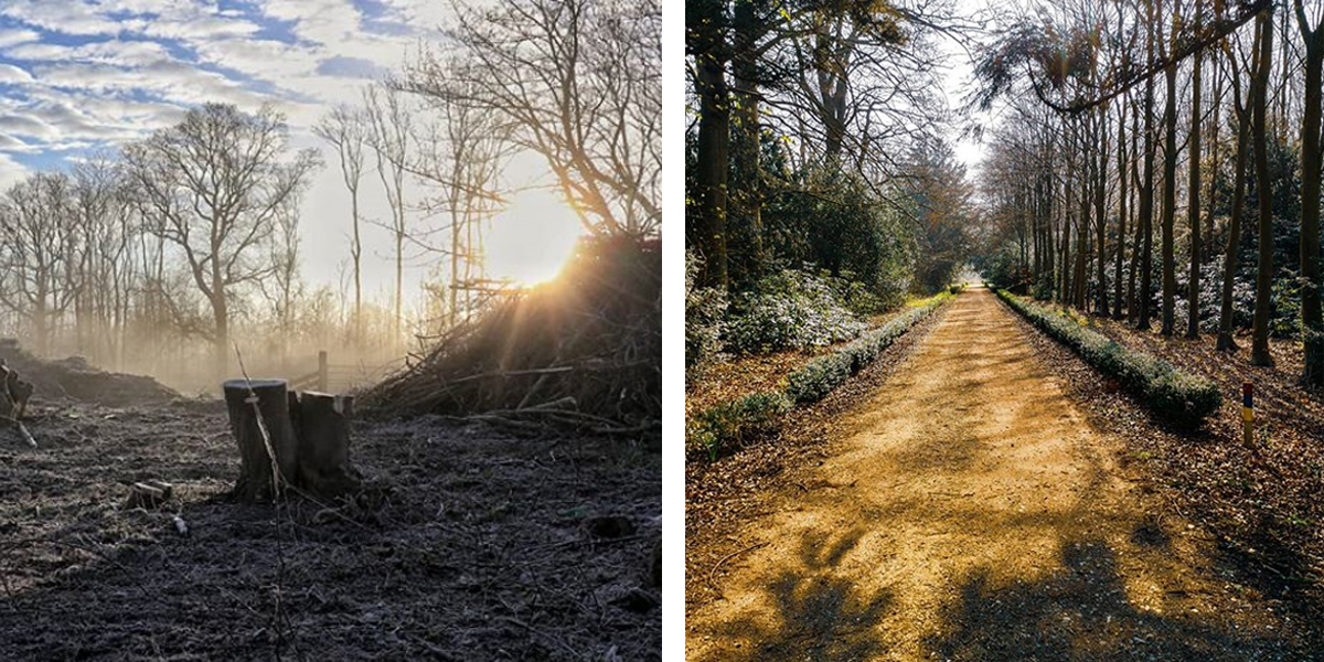 Wandelingen in Zuid-Holland