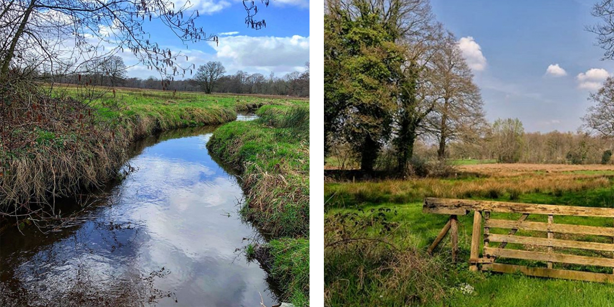 Wandelingen in Drenthe