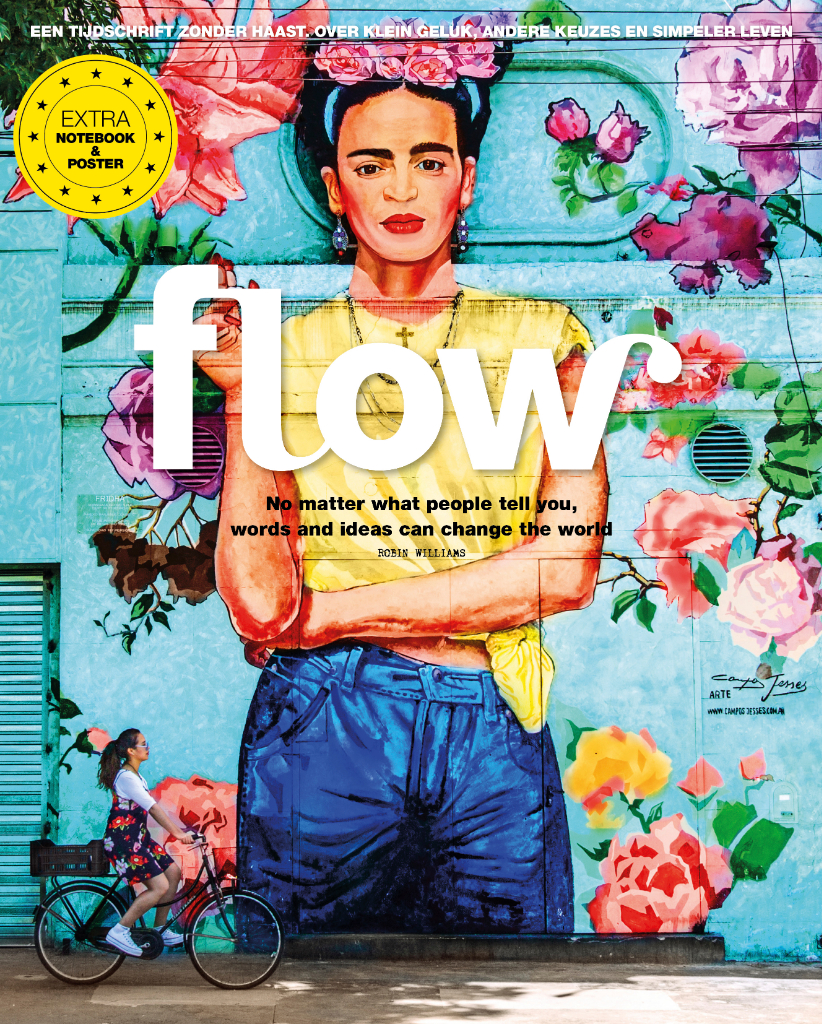 flow 3 cover