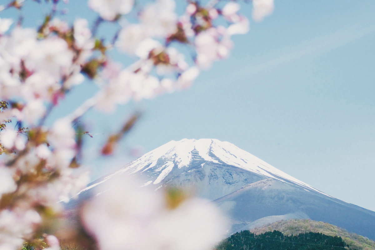 japanse wijsheden