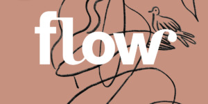 Flow 8