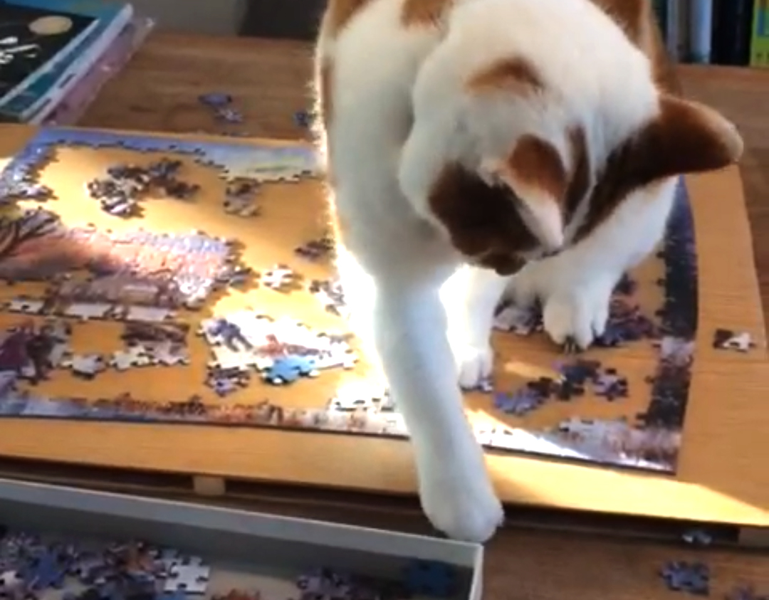 irene kat puzzel flow