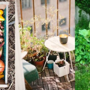 Verse groenten in een houten kist, een moestuin op een balkon en een hand met radijsjes