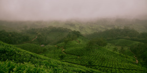 Sikkim