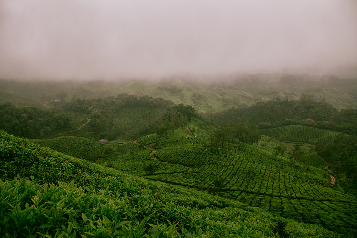 Sikkim