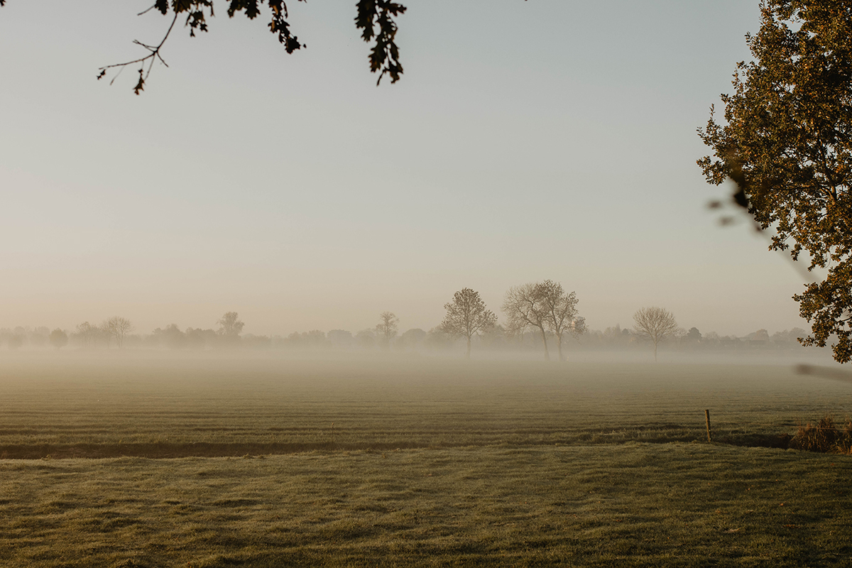 langzaam leven