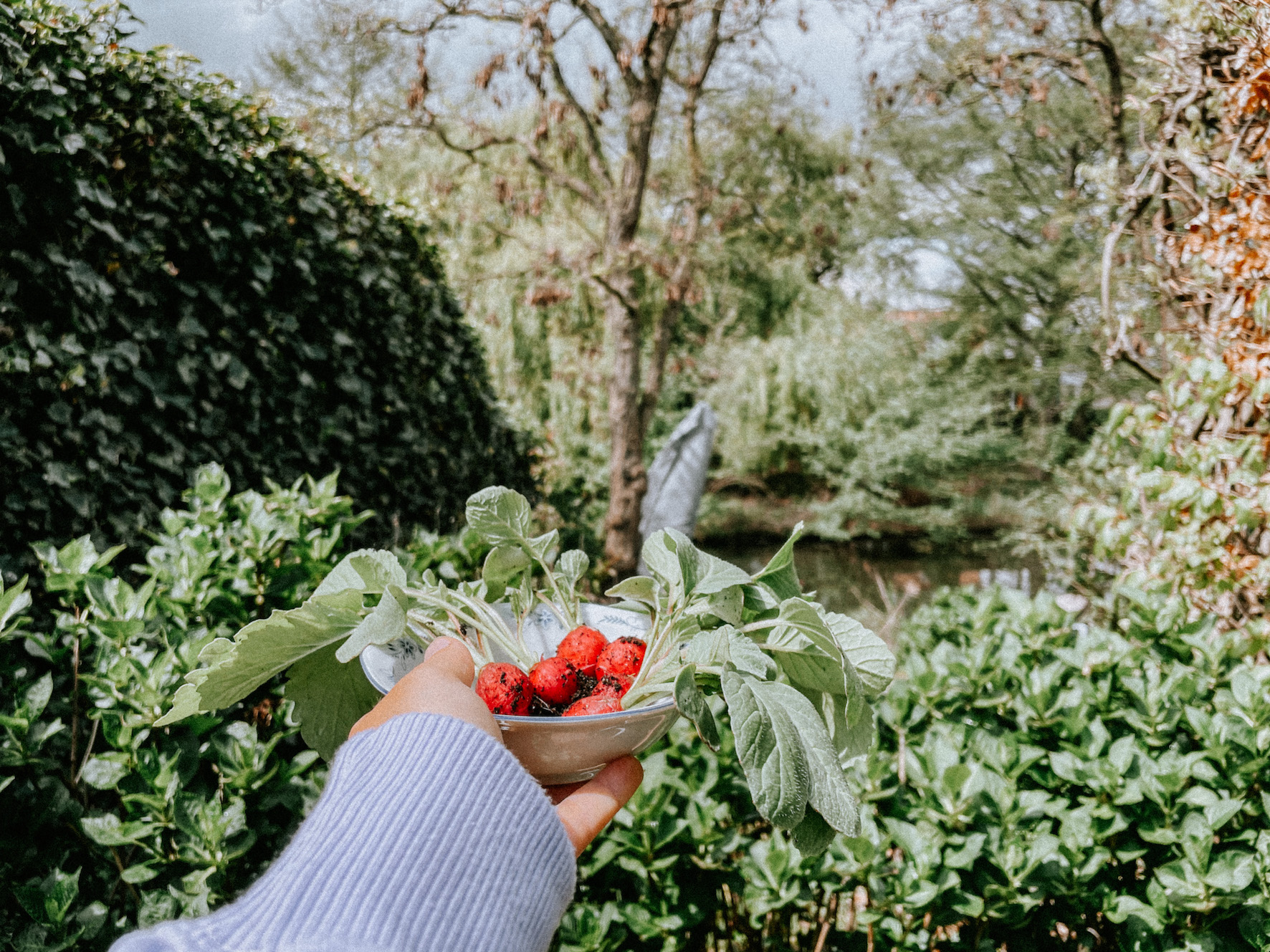 Makkelijke moestuin