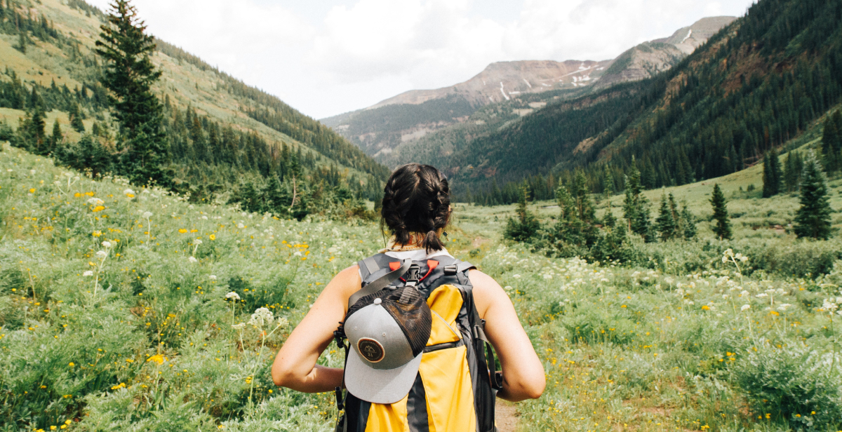 zomerse wandelroutes