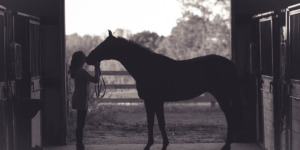 paard aan huis