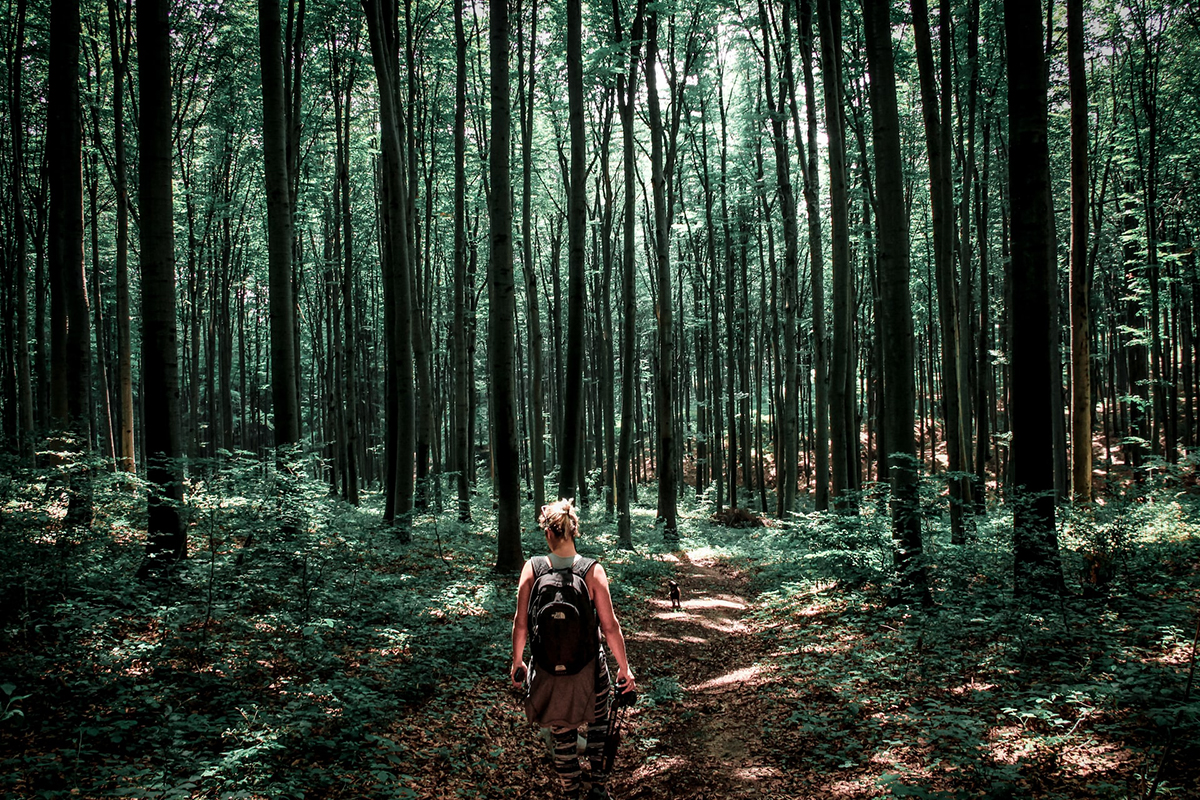 Lange-afstand-wandelpaden