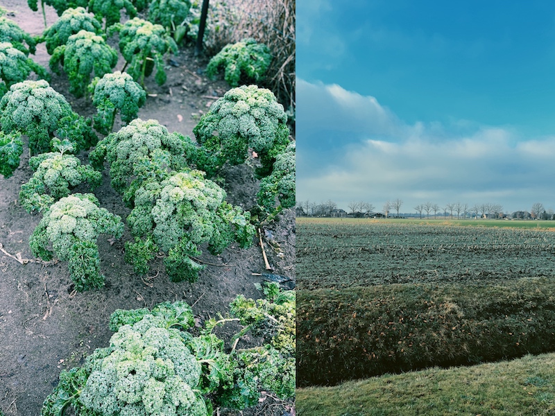 werkenindenatuur