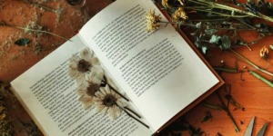 bloemen persen in een boek