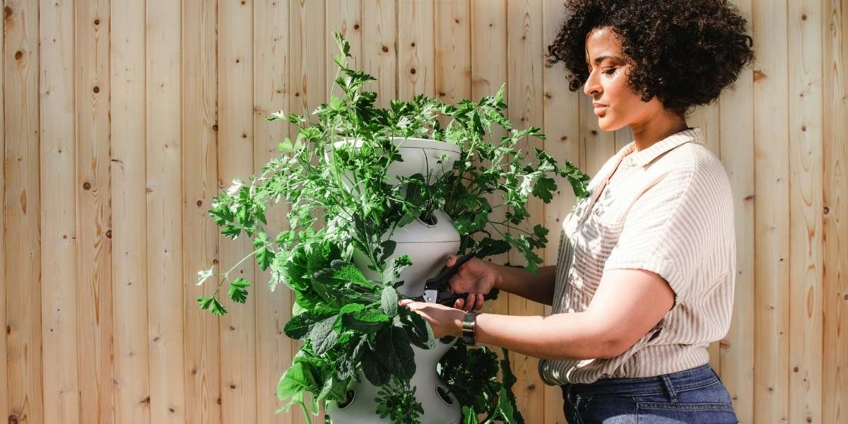 Meer insecten in je tuin krijgen