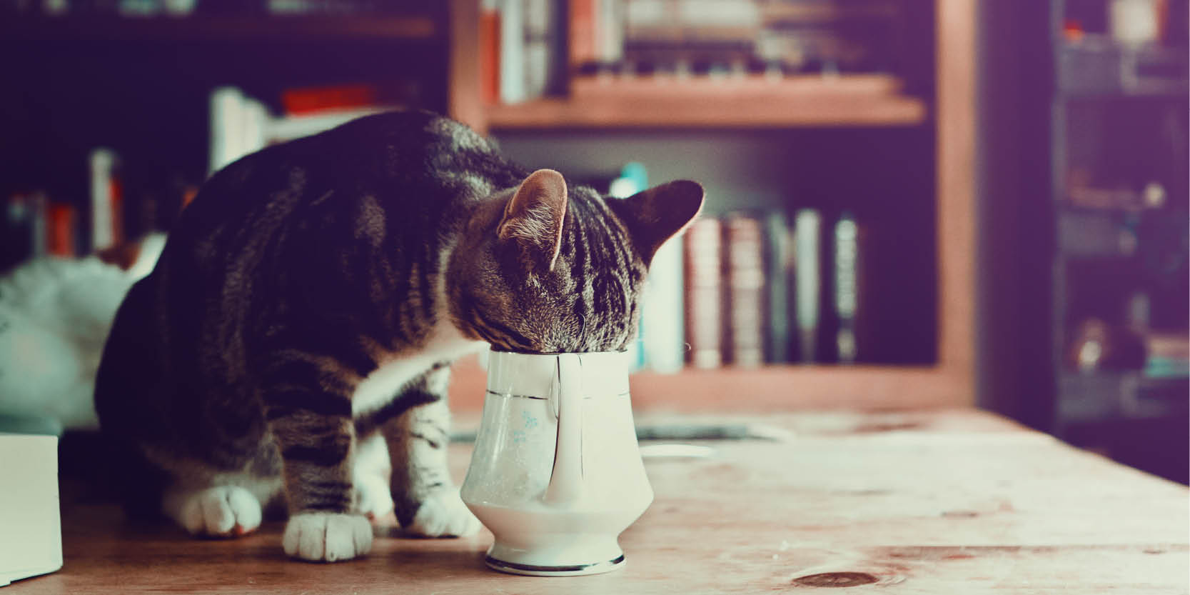 goed nieuws koffie voordelen nadelen