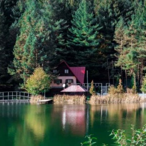 verhuizen naar de veluwe voor een huisje in het bos