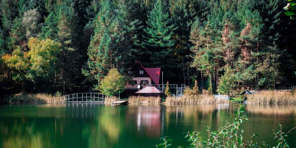 verhuizen naar de veluwe voor een huisje in het bos