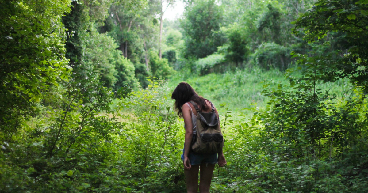 vrouw staat in de natuur vol met groene bomen