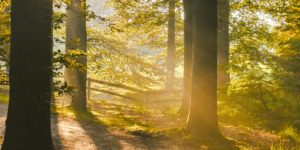 waar wandelen in Utrecht