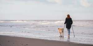 waarom wandelen met stokken?