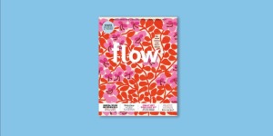 Flow 4