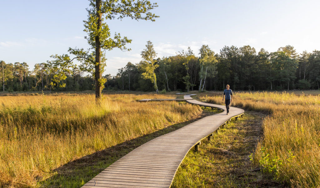 vlonderpad landgoed tongeren