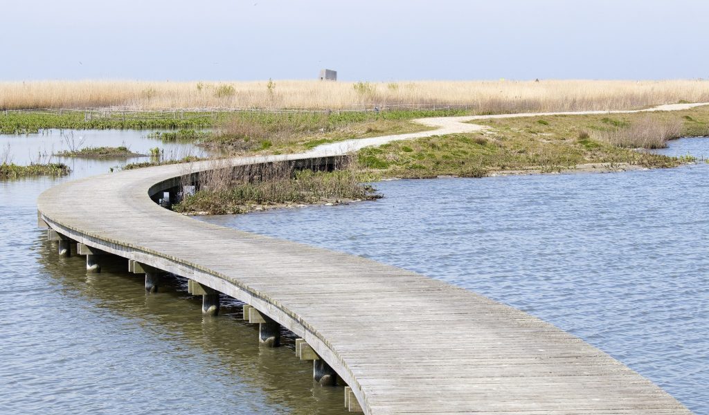 vlonderpad marker wadden