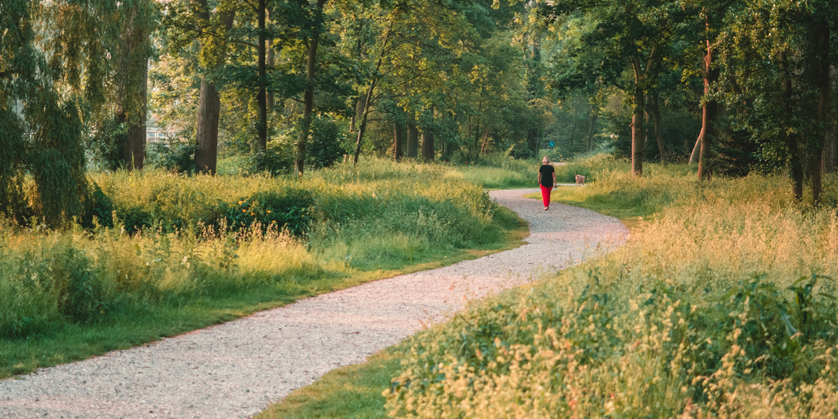 wandelen van a tot z