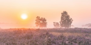 nationale parken nederland