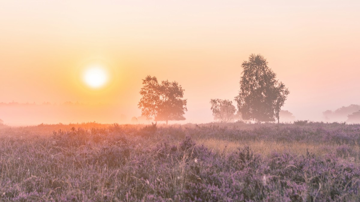 nationale parken nederland