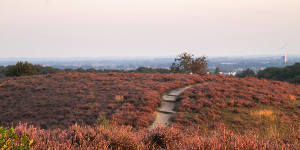 waar wandelen in Gelderland