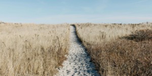 Wandelen in de natuur