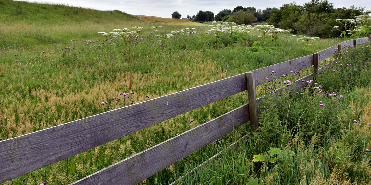 waar wandelen in Friesland