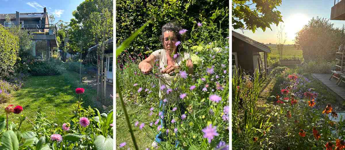 Vrouw die haar tuin aan het aanpakken is