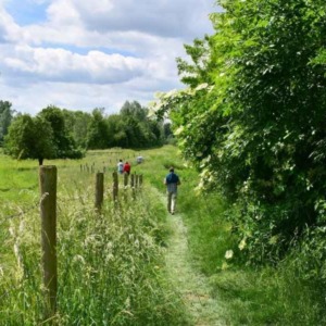 Wandelroute van het jaar 2025