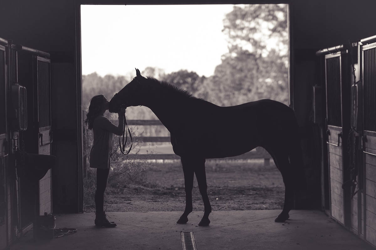 paard aan huis