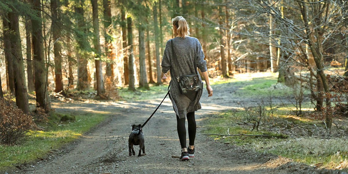 dagelijkse wandeling