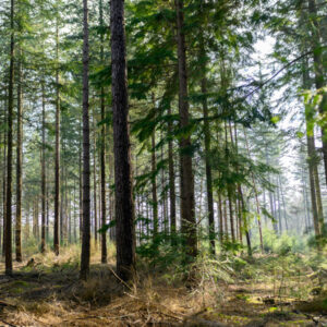 waar wandelen in overijssel