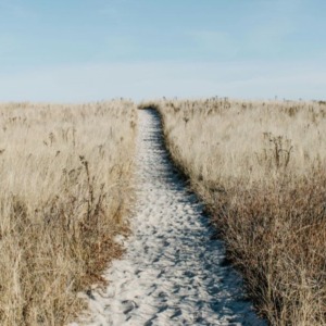 Wandelen in de natuur